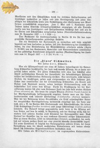 Eichwalde_Heimatbuch_1938_S506.jpg
