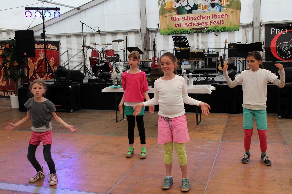 n_2014_06_20_Rosenfest_4796a.jpg