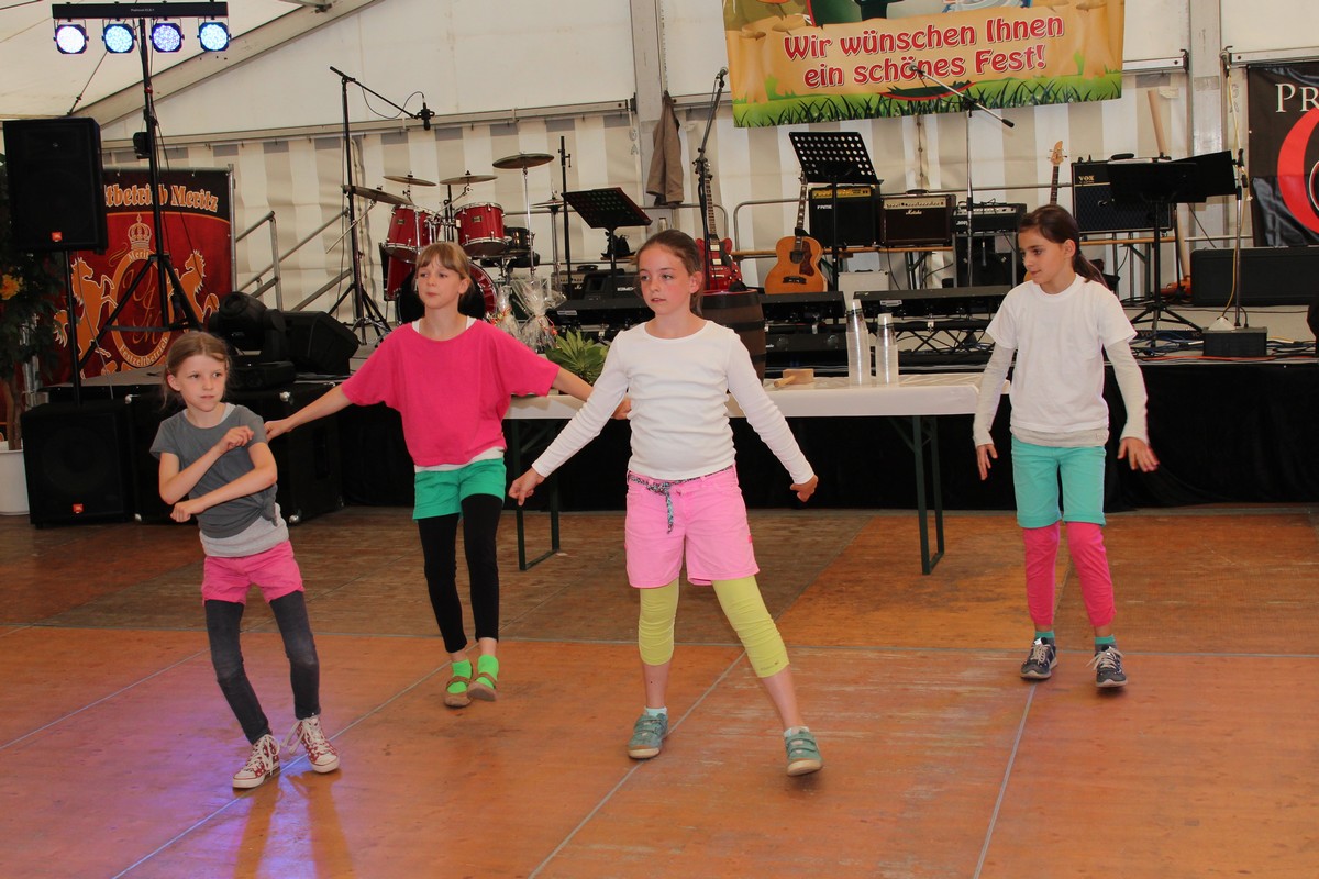 n_2014_06_20_Rosenfest_4811a.jpg