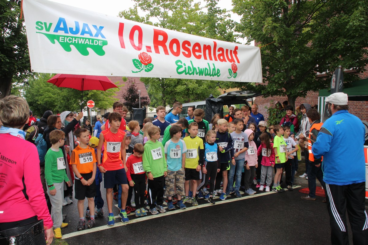 n_2014_06_21_Rosenfest_6401.jpg