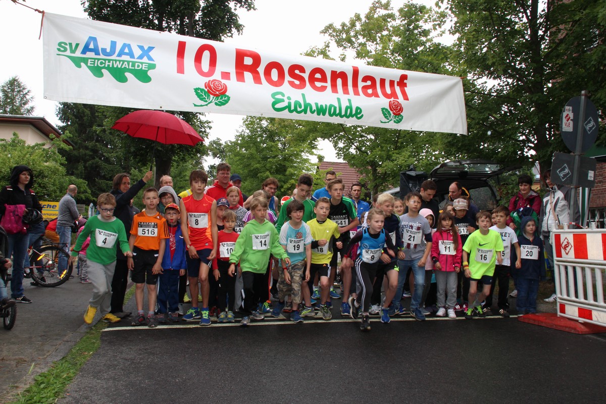 n_2014_06_21_Rosenfest_6405.jpg