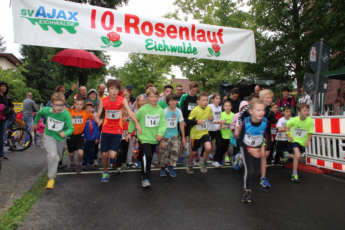 n_2014_06_21_Rosenfest_6406.jpg