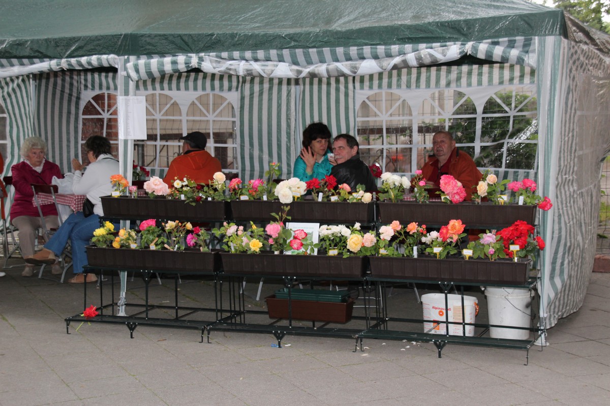 n_2014_06_21_Rosenfest_6809.jpg
