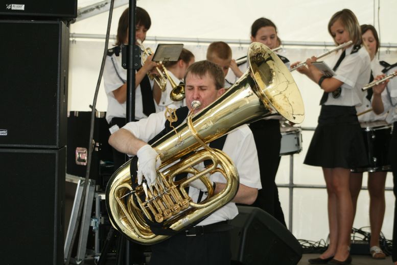 Rosenfest 2008