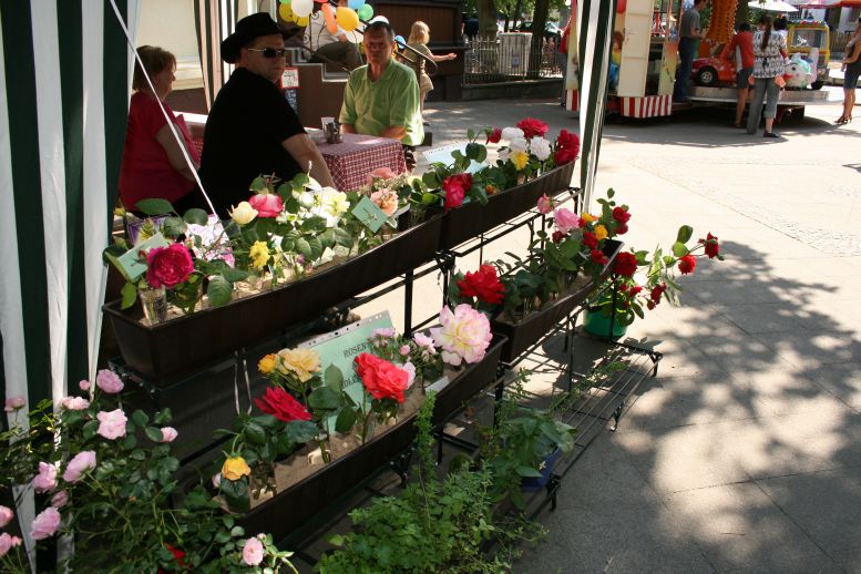 Rosenfest 2008
