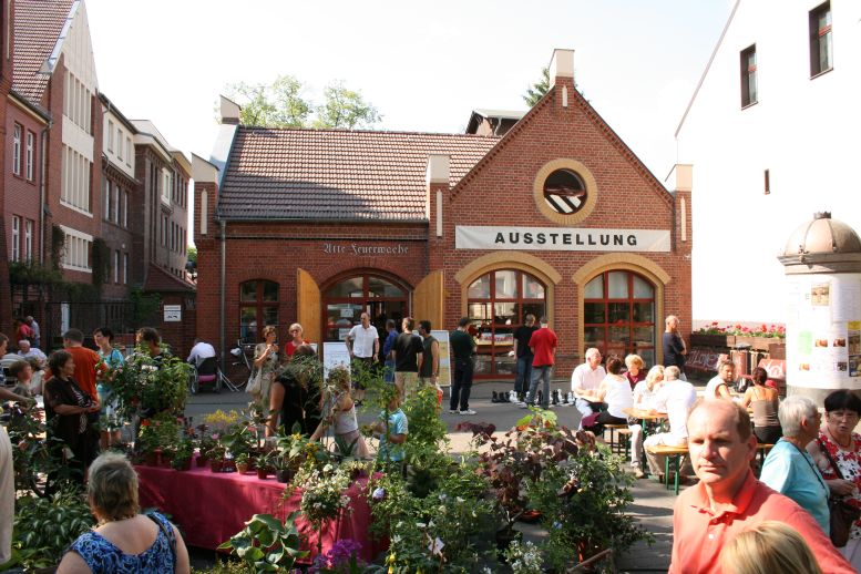 Rosenfest 2008