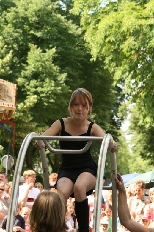 Rosenfest 2008