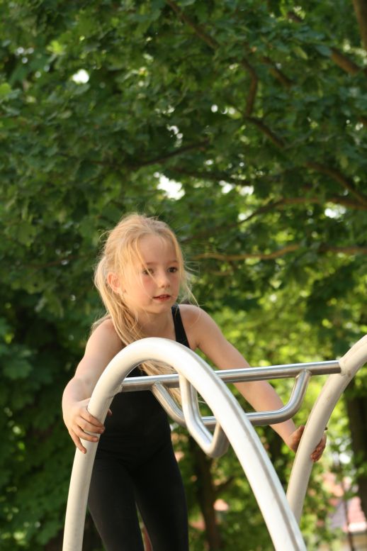 Rosenfest 2008