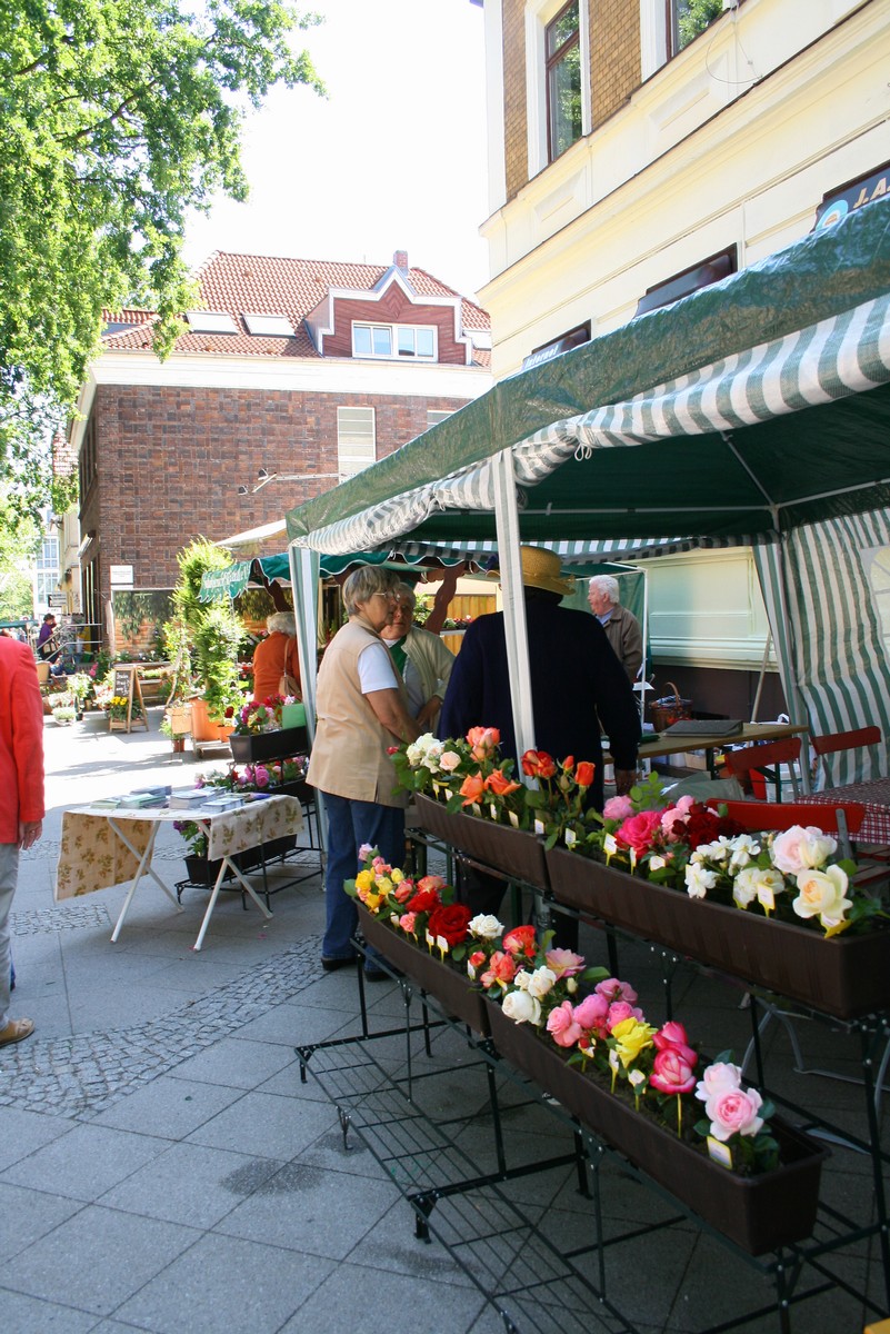 n_Eichwalde_bei_Berlin_2009_06_13_rosenfest_4394.jpg