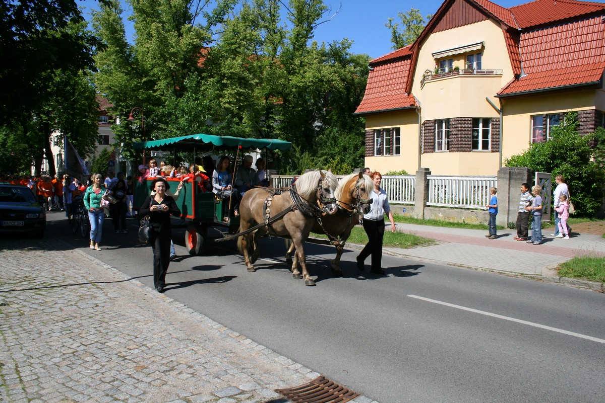 n_Eichwalde_bei_Berlin_2009_06_13_rosenfest_5321.jpg