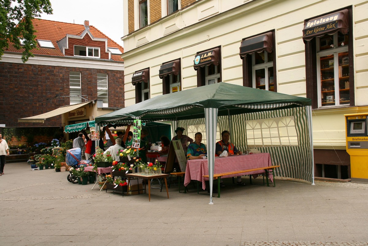 n_Eichwalde_bei_Berlin_2010_06_12_Rosenfest_8474.jpg