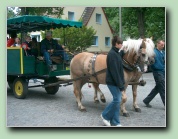 rosenfest
