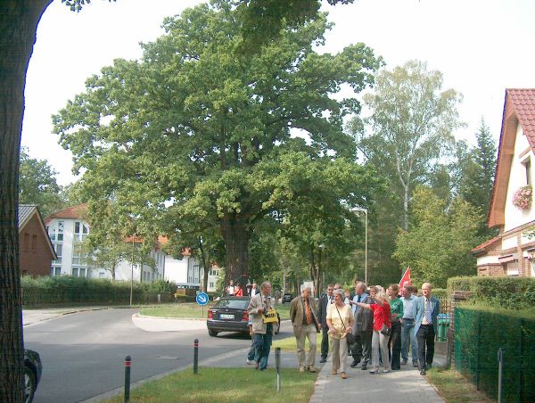%in_Eichwalde%