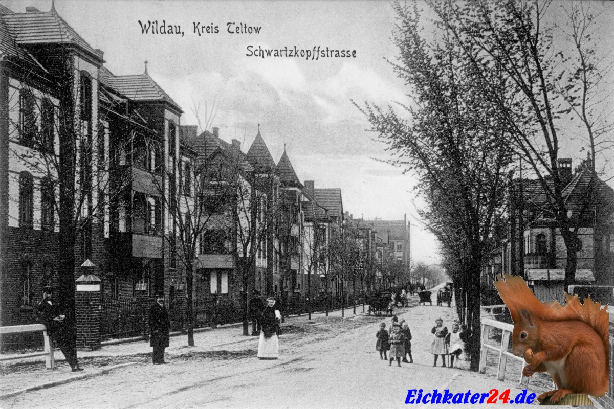 Wildau Blick in die Schwarzkopf Strasse